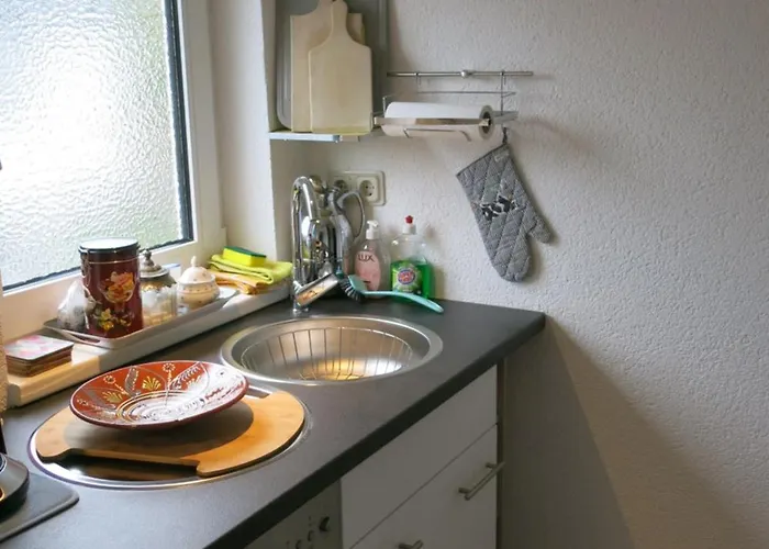 Apartment Haus Julius, Bis Zu 8 Gaesten Willingen (Upland)